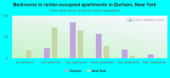 Bedrooms in renter-occupied apartments in Durham, New York