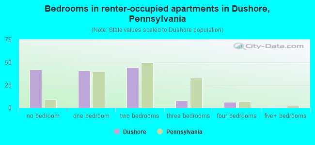 Bedrooms in renter-occupied apartments in Dushore, Pennsylvania