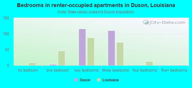 Bedrooms in renter-occupied apartments in Duson, Louisiana