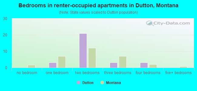 Bedrooms in renter-occupied apartments in Dutton, Montana
