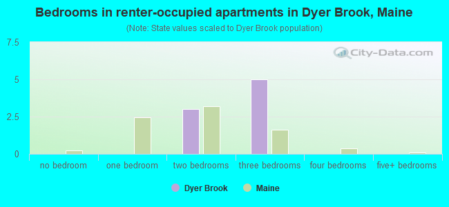 Bedrooms in renter-occupied apartments in Dyer Brook, Maine