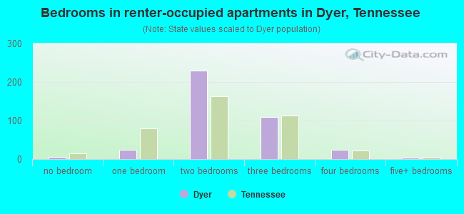 Bedrooms in renter-occupied apartments in Dyer, Tennessee