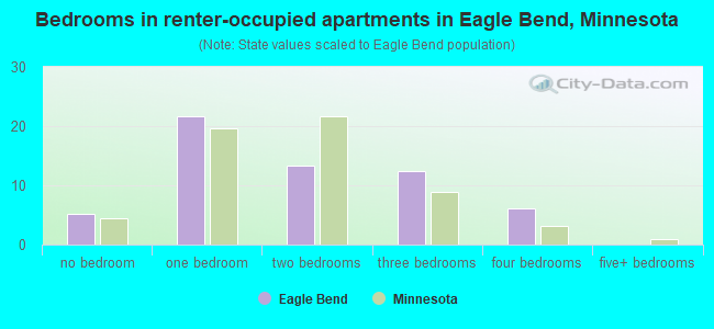 Bedrooms in renter-occupied apartments in Eagle Bend, Minnesota