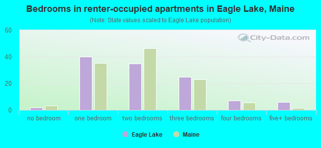 Bedrooms in renter-occupied apartments in Eagle Lake, Maine