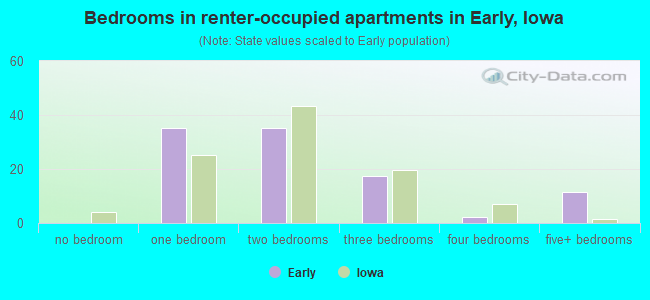 Bedrooms in renter-occupied apartments in Early, Iowa