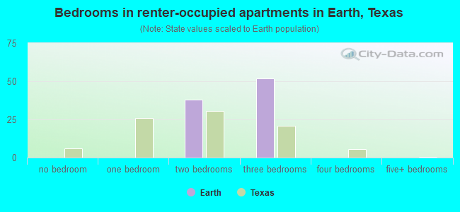 Bedrooms in renter-occupied apartments in Earth, Texas