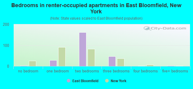 Bedrooms in renter-occupied apartments in East Bloomfield, New York