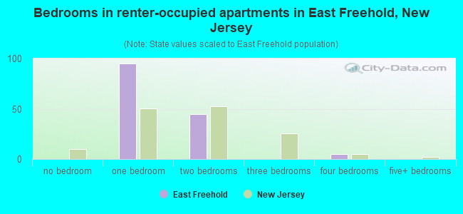 Bedrooms in renter-occupied apartments in East Freehold, New Jersey