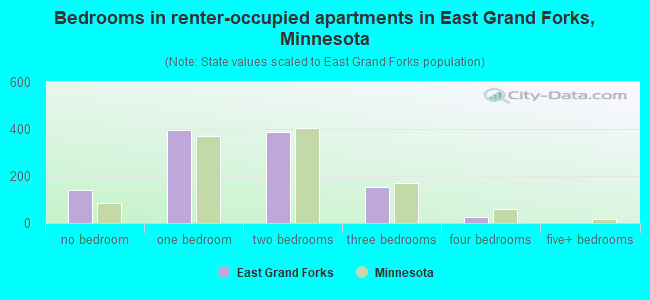 Bedrooms in renter-occupied apartments in East Grand Forks, Minnesota