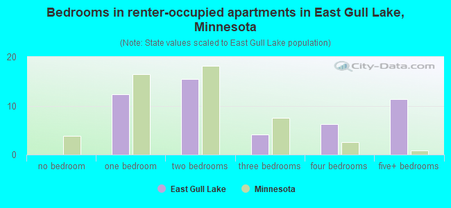 Bedrooms in renter-occupied apartments in East Gull Lake, Minnesota