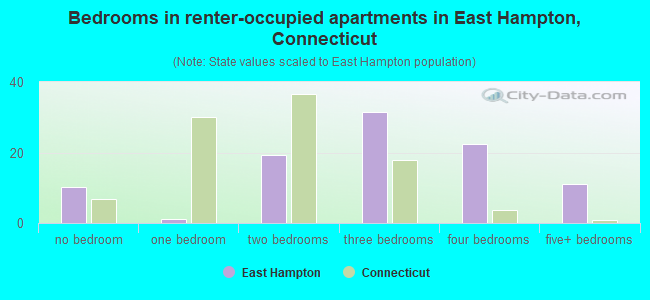 Bedrooms in renter-occupied apartments in East Hampton, Connecticut