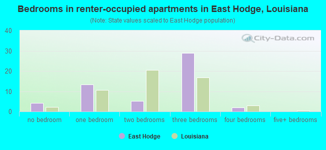 Bedrooms in renter-occupied apartments in East Hodge, Louisiana