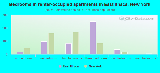Bedrooms in renter-occupied apartments in East Ithaca, New York