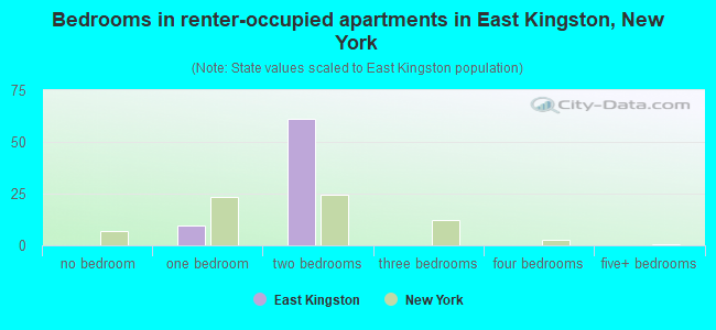 Bedrooms in renter-occupied apartments in East Kingston, New York