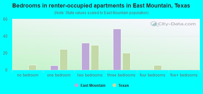 Bedrooms in renter-occupied apartments in East Mountain, Texas