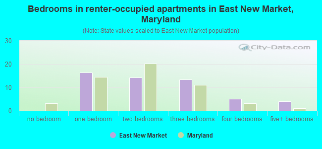 Bedrooms in renter-occupied apartments in East New Market, Maryland