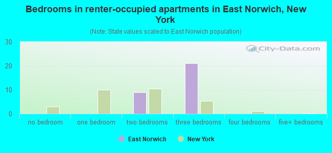 Bedrooms in renter-occupied apartments in East Norwich, New York