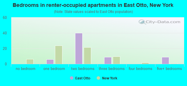 Bedrooms in renter-occupied apartments in East Otto, New York