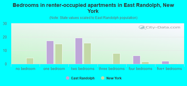 Bedrooms in renter-occupied apartments in East Randolph, New York