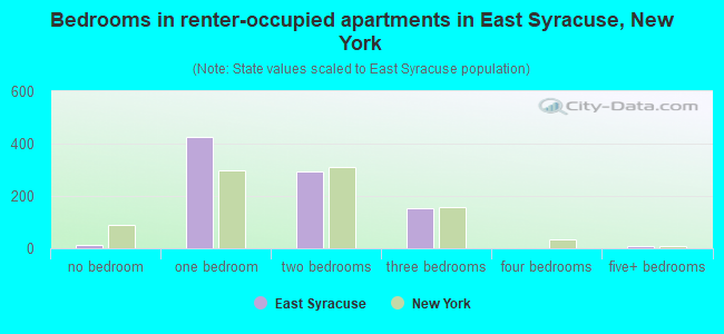 Bedrooms in renter-occupied apartments in East Syracuse, New York
