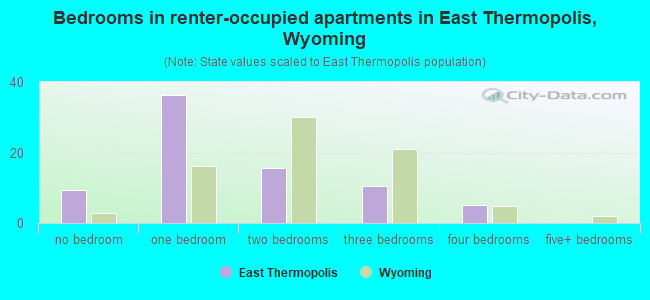 Bedrooms in renter-occupied apartments in East Thermopolis, Wyoming