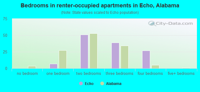 Bedrooms in renter-occupied apartments in Echo, Alabama