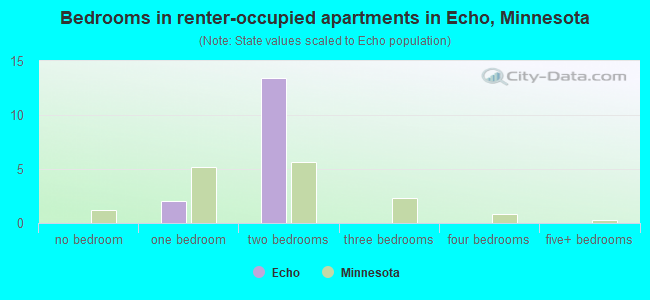 Bedrooms in renter-occupied apartments in Echo, Minnesota