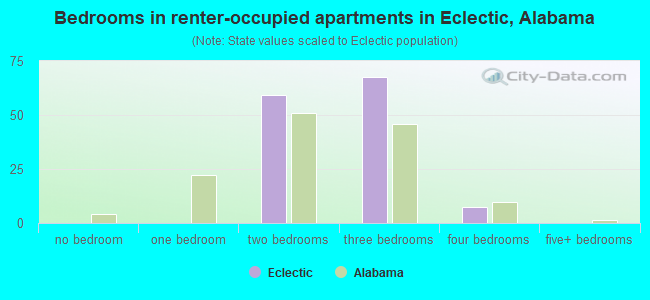 Bedrooms in renter-occupied apartments in Eclectic, Alabama