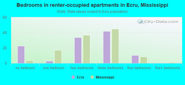 Bedrooms in renter-occupied apartments in Ecru, Mississippi