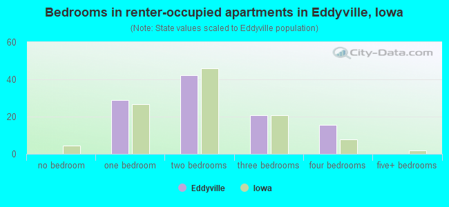 Bedrooms in renter-occupied apartments in Eddyville, Iowa