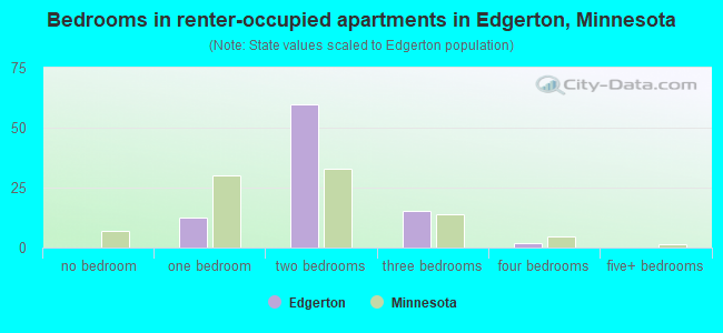 Bedrooms in renter-occupied apartments in Edgerton, Minnesota