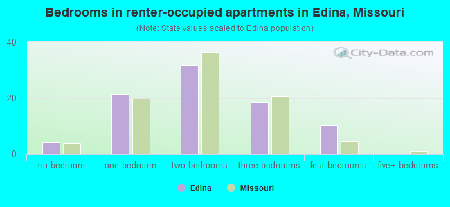 Bedrooms in renter-occupied apartments in Edina, Missouri