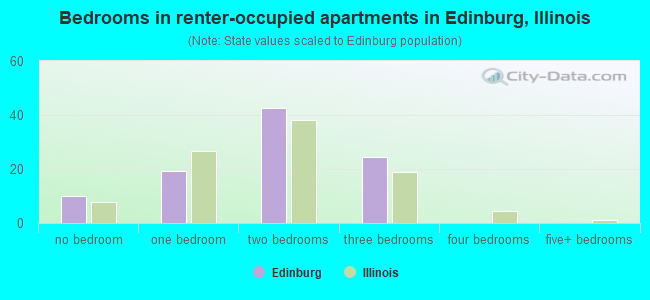 Bedrooms in renter-occupied apartments in Edinburg, Illinois
