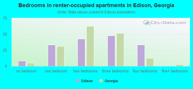 Bedrooms in renter-occupied apartments in Edison, Georgia