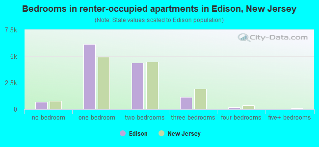 Bedrooms in renter-occupied apartments in Edison, New Jersey