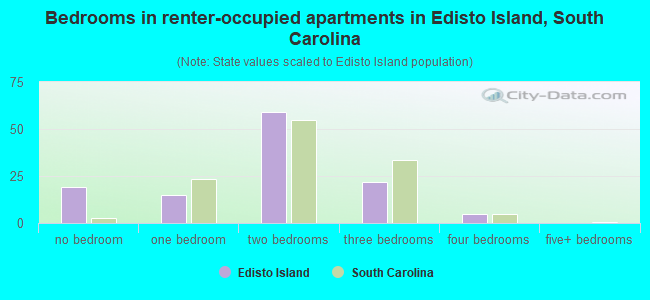 Bedrooms in renter-occupied apartments in Edisto Island, South Carolina