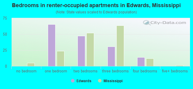 Bedrooms in renter-occupied apartments in Edwards, Mississippi