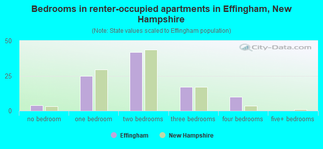Bedrooms in renter-occupied apartments in Effingham, New Hampshire