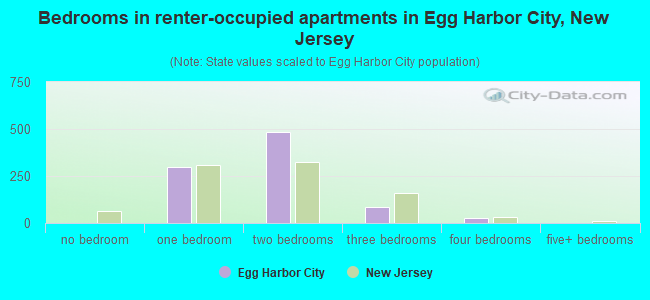 Bedrooms in renter-occupied apartments in Egg Harbor City, New Jersey
