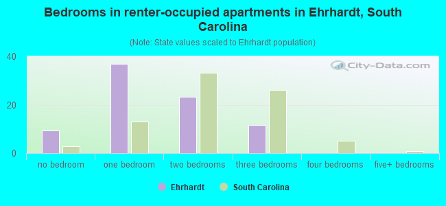 Bedrooms in renter-occupied apartments in Ehrhardt, South Carolina
