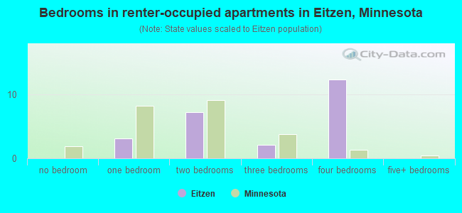 Bedrooms in renter-occupied apartments in Eitzen, Minnesota