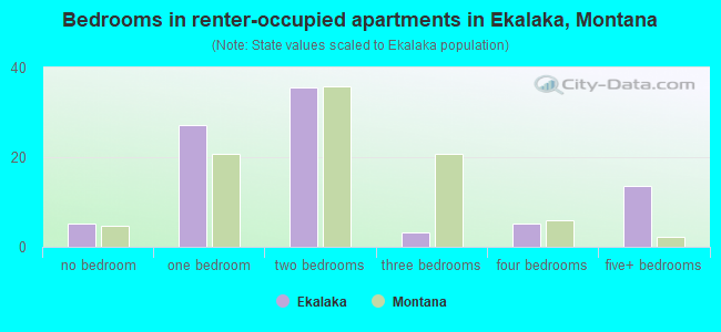 Bedrooms in renter-occupied apartments in Ekalaka, Montana