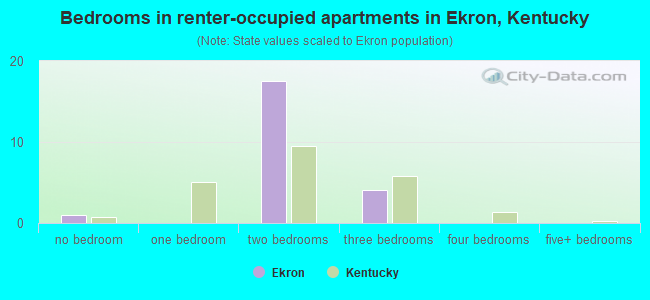 Bedrooms in renter-occupied apartments in Ekron, Kentucky