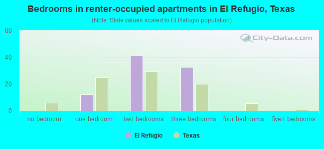 Bedrooms in renter-occupied apartments in El Refugio, Texas