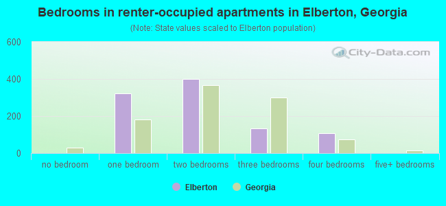 Bedrooms in renter-occupied apartments in Elberton, Georgia