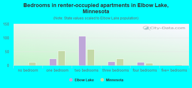Bedrooms in renter-occupied apartments in Elbow Lake, Minnesota