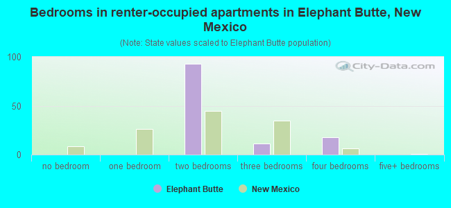 Bedrooms in renter-occupied apartments in Elephant Butte, New Mexico