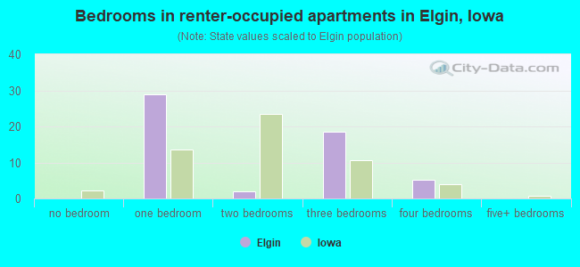 Bedrooms in renter-occupied apartments in Elgin, Iowa