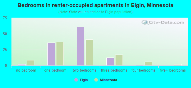 Bedrooms in renter-occupied apartments in Elgin, Minnesota