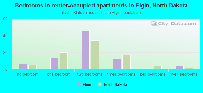 Bedrooms in renter-occupied apartments in Elgin, North Dakota